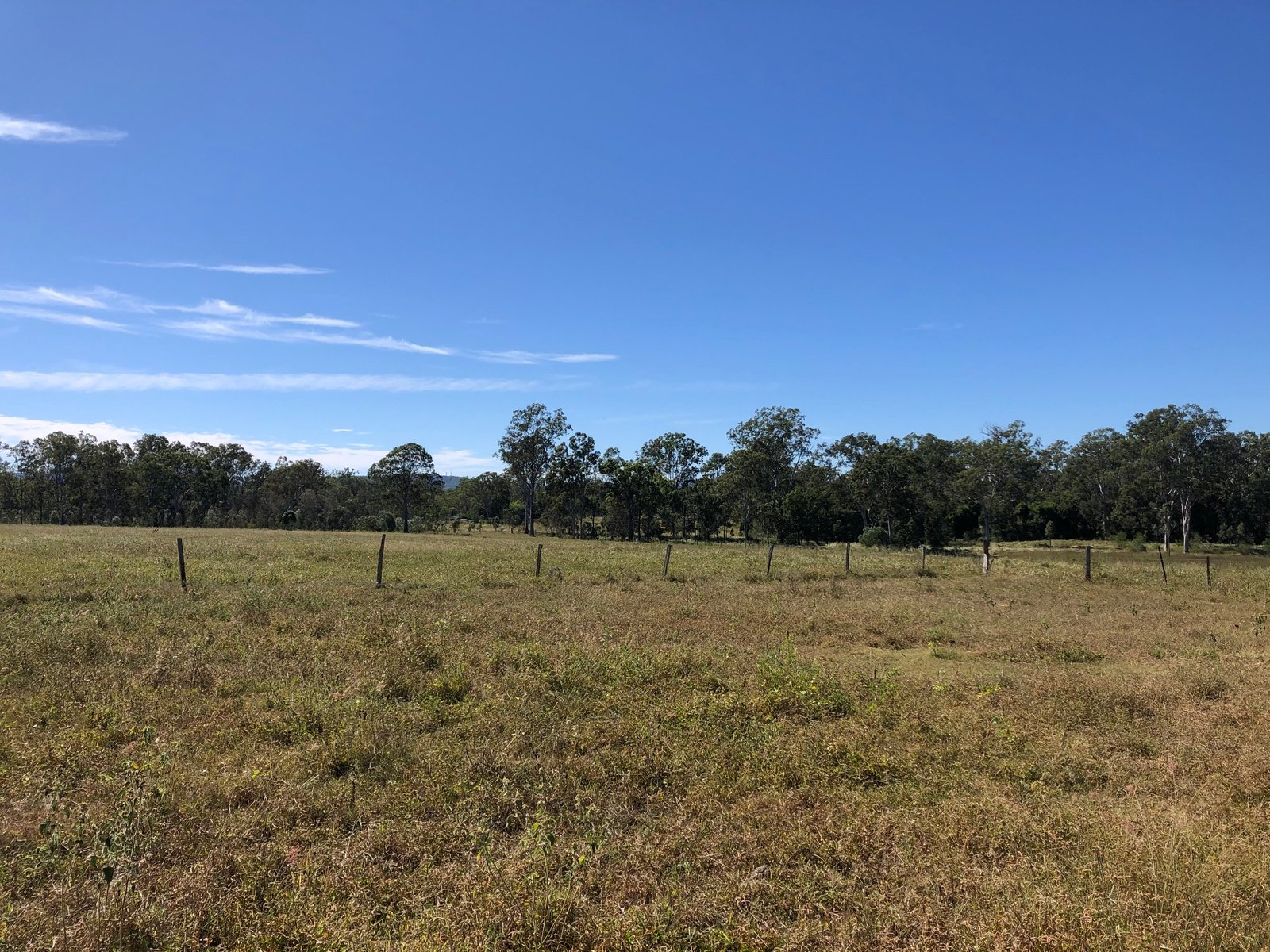 101 Blackmans Gap Road MIRIAM VALE 12