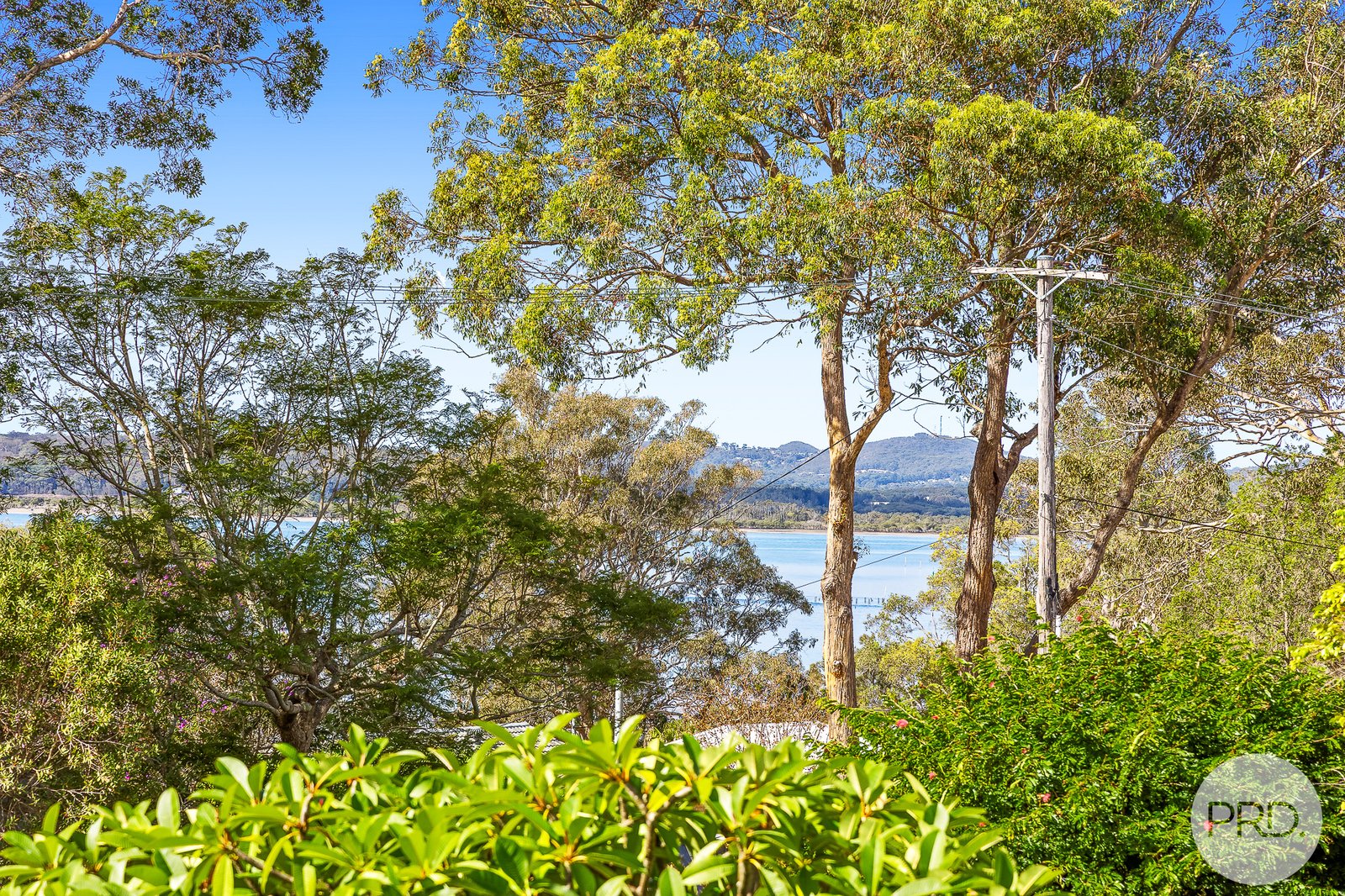 101 Francis Avenue LEMON TREE PASSAGE 6
