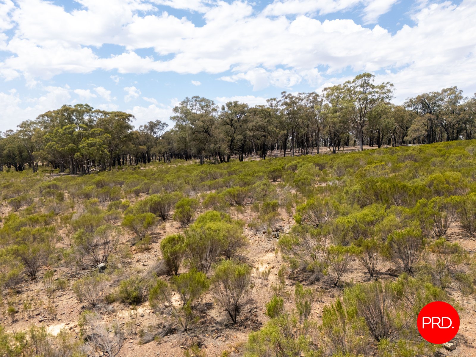 101 Hudson Road BAILIESTON 6