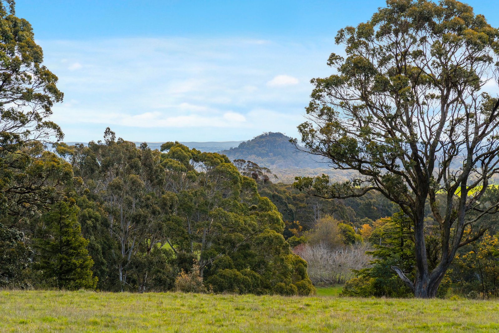 Real Estate and Property in 1010 Romsey Road, Hesket, VIC