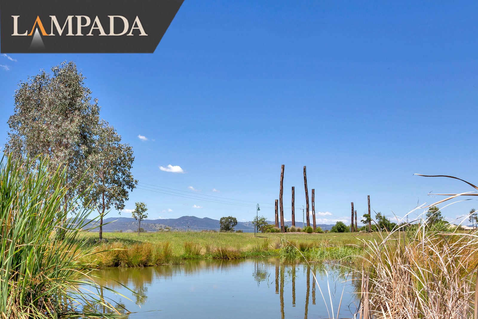 1011 Ibis Street TAMWORTH 6