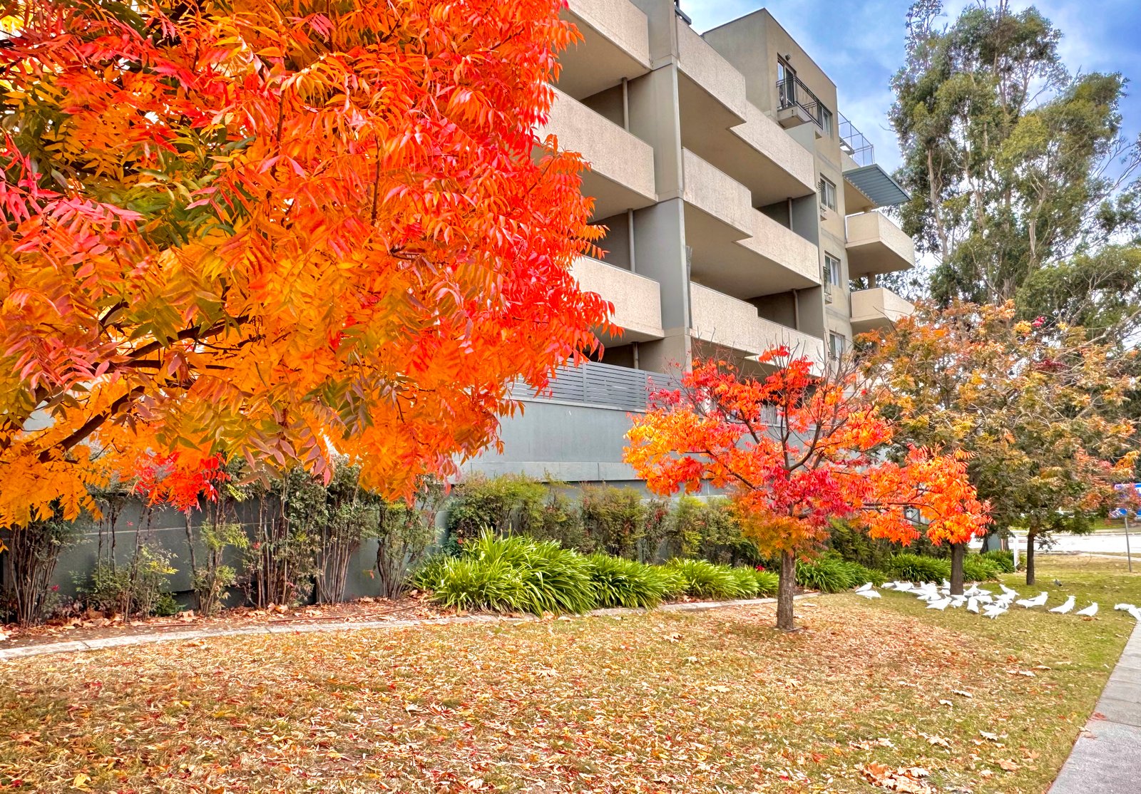 10/12 Waniassa Street QUEANBEYAN EAST 1