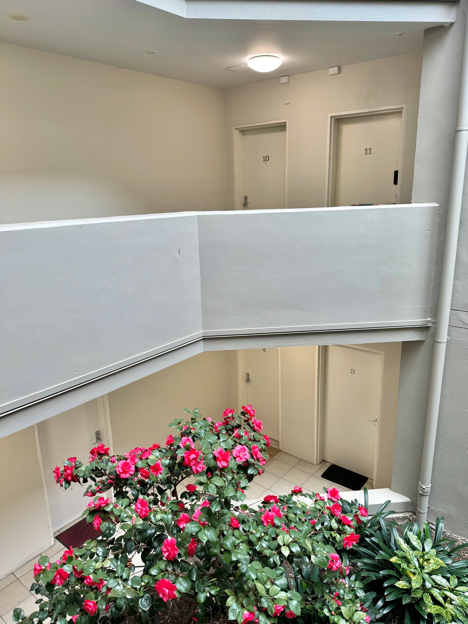 10/12 Waniassa Street QUEANBEYAN EAST 20