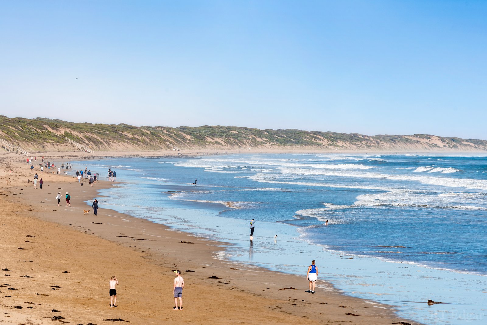 Real Estate and Property in 101/21 Hodgson Street, Ocean Grove, VIC