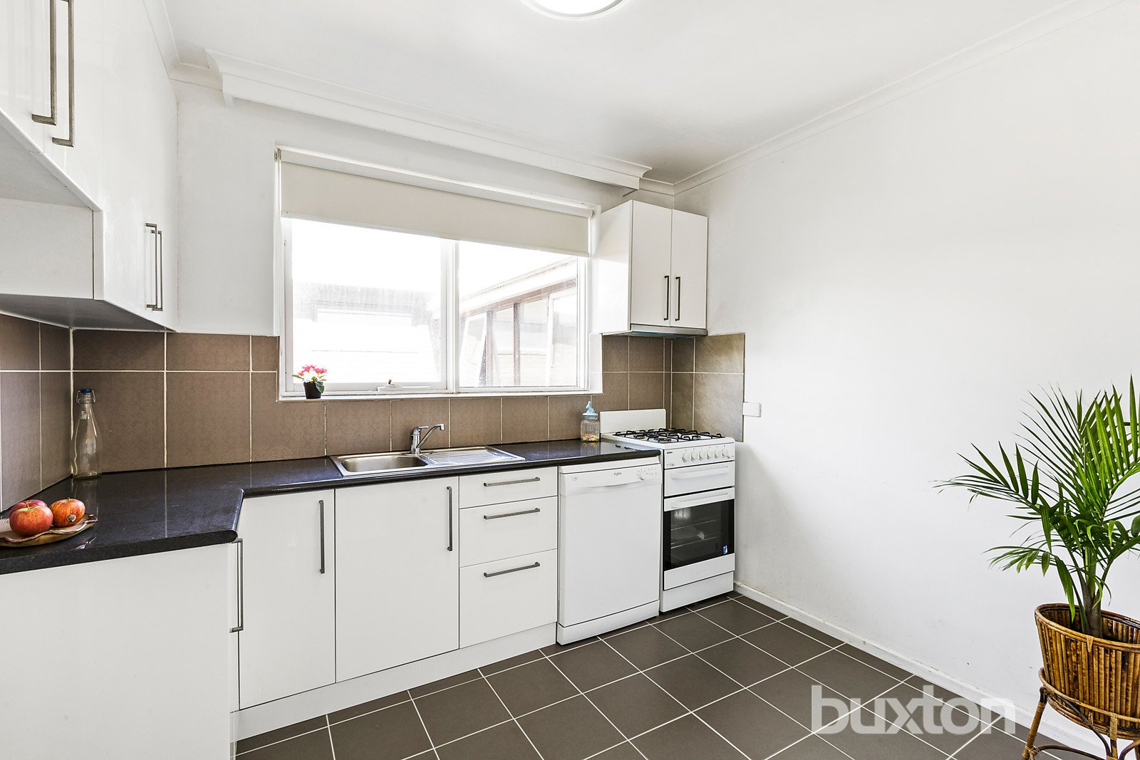Gallery: 10/14 Mitford Street