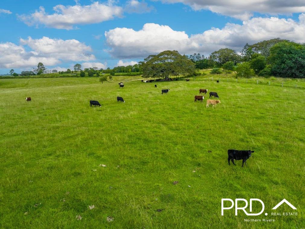 1015 Bruxner Highway MCKEES HILL 24