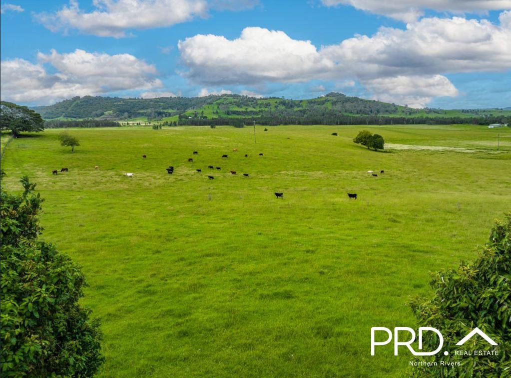 1015 Bruxner Highway MCKEES HILL 29