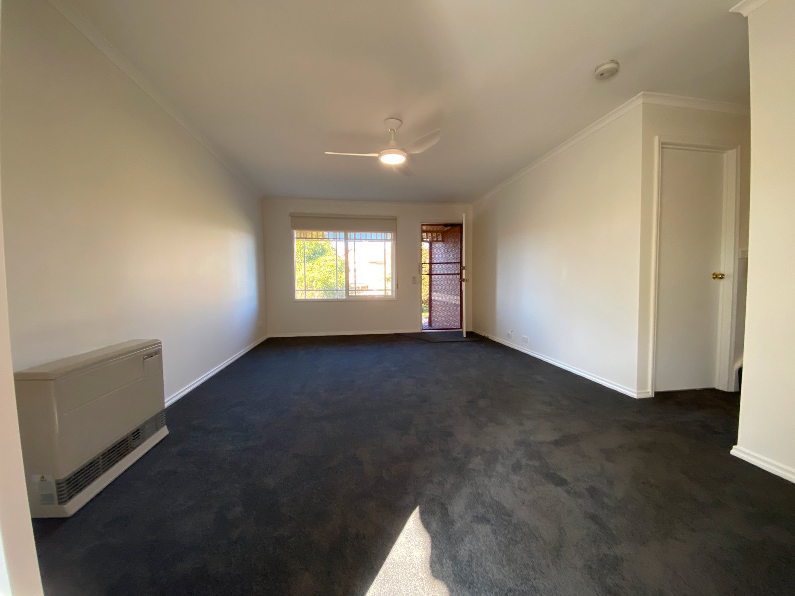 Gallery: 10/15 Graham Road