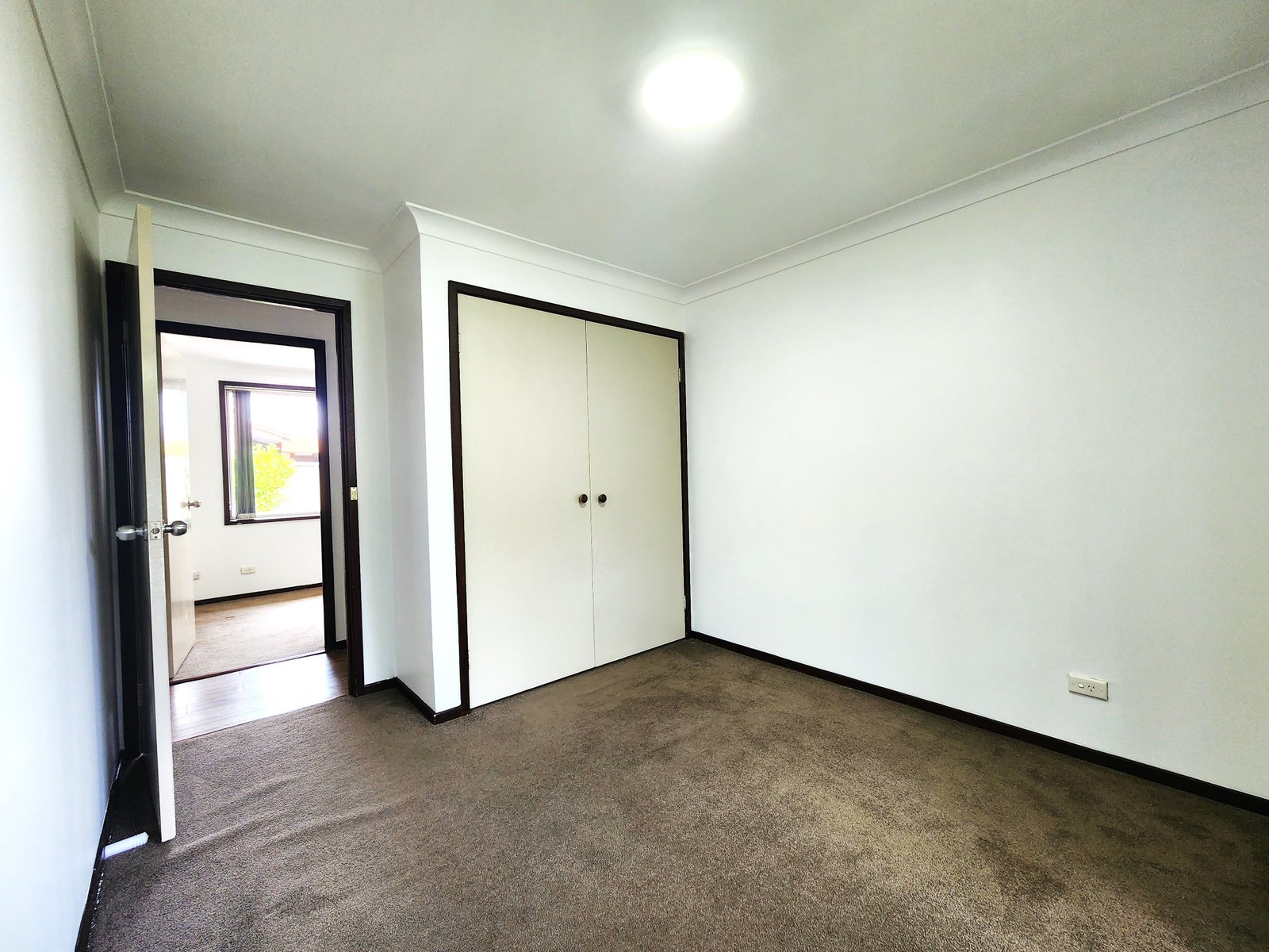 10/15 Wonga  LURNEA 7