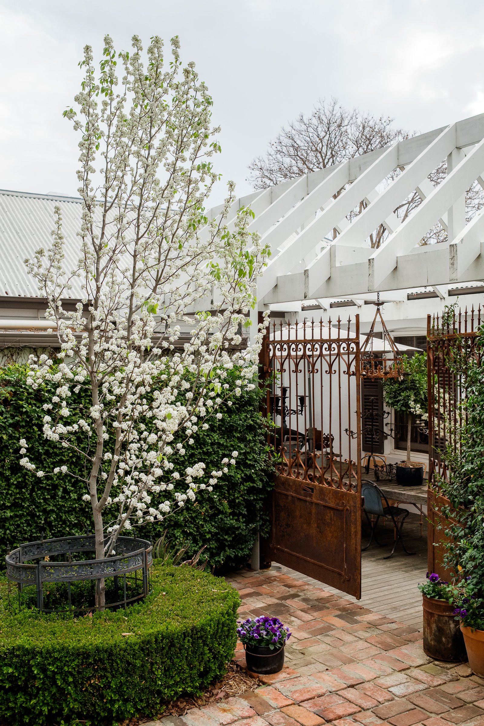 102 Brisbane Street TAMWORTH 22