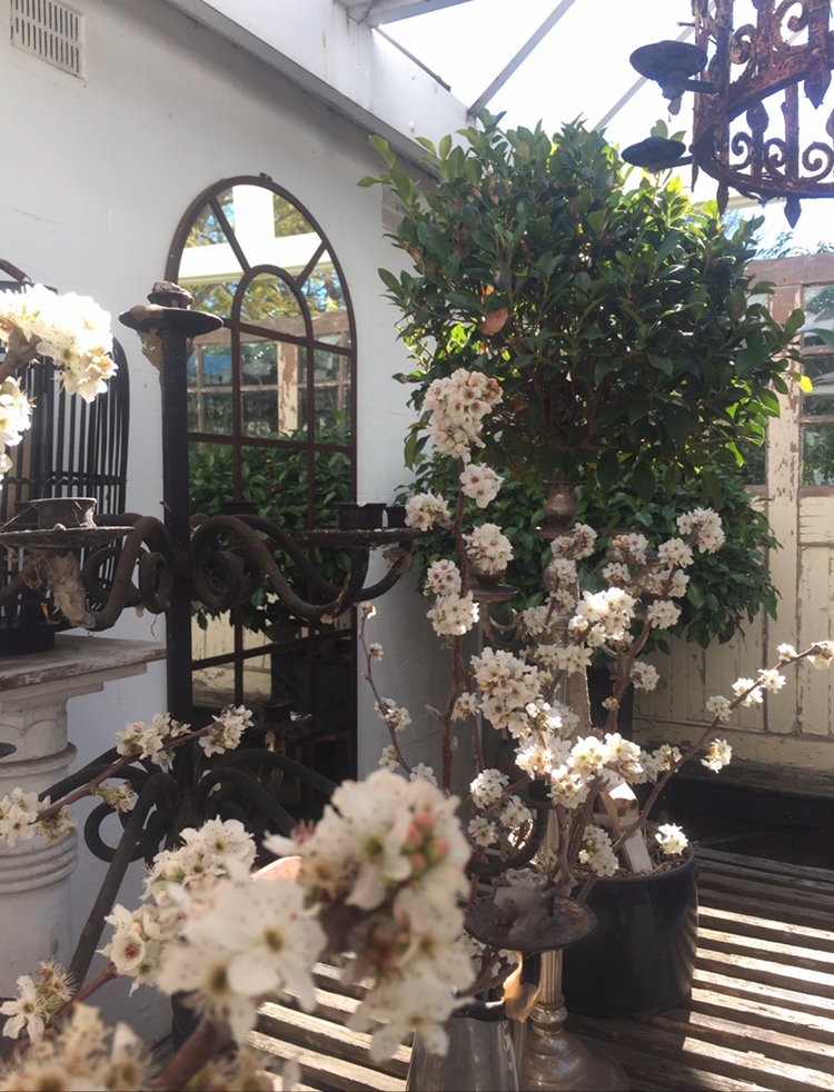 102 Brisbane Street TAMWORTH 23