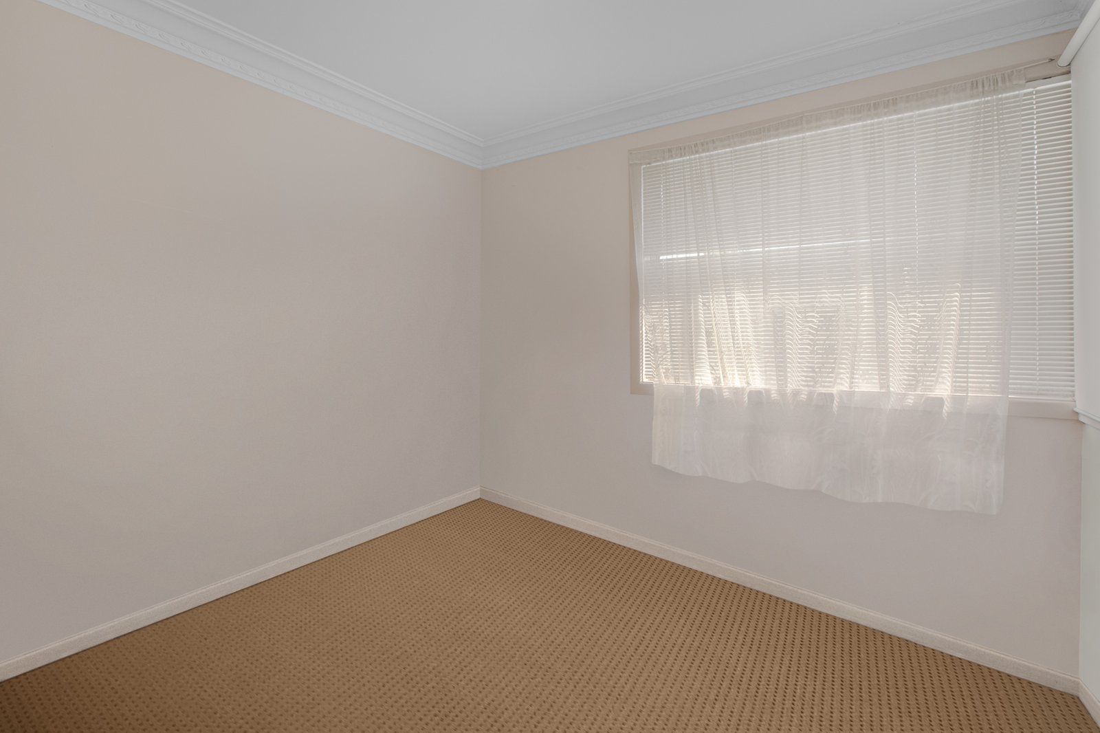 102 Brunswick Street EAST MAITLAND 5