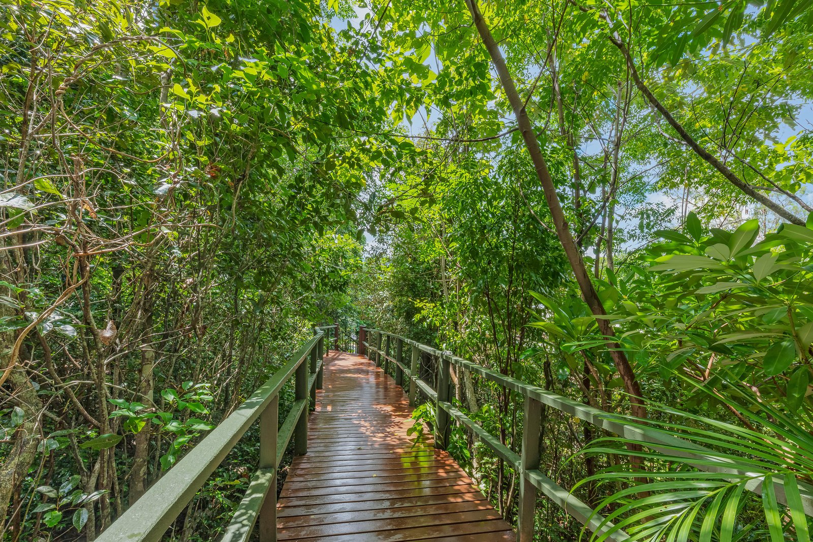 102 Camille Drive STRATHDICKIE 7