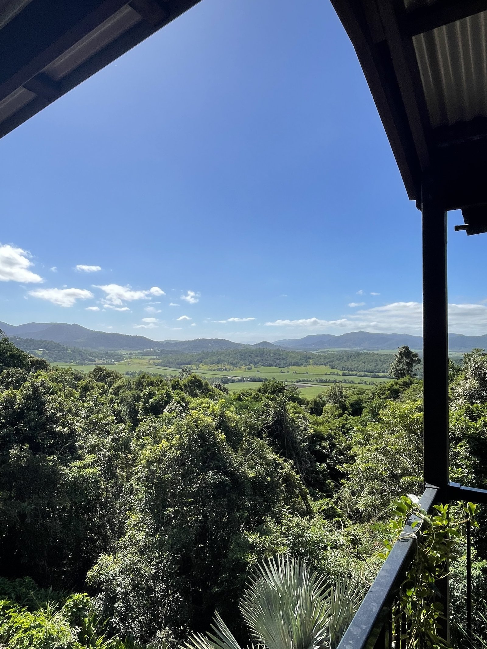 102 Camille Drive STRATHDICKIE 23