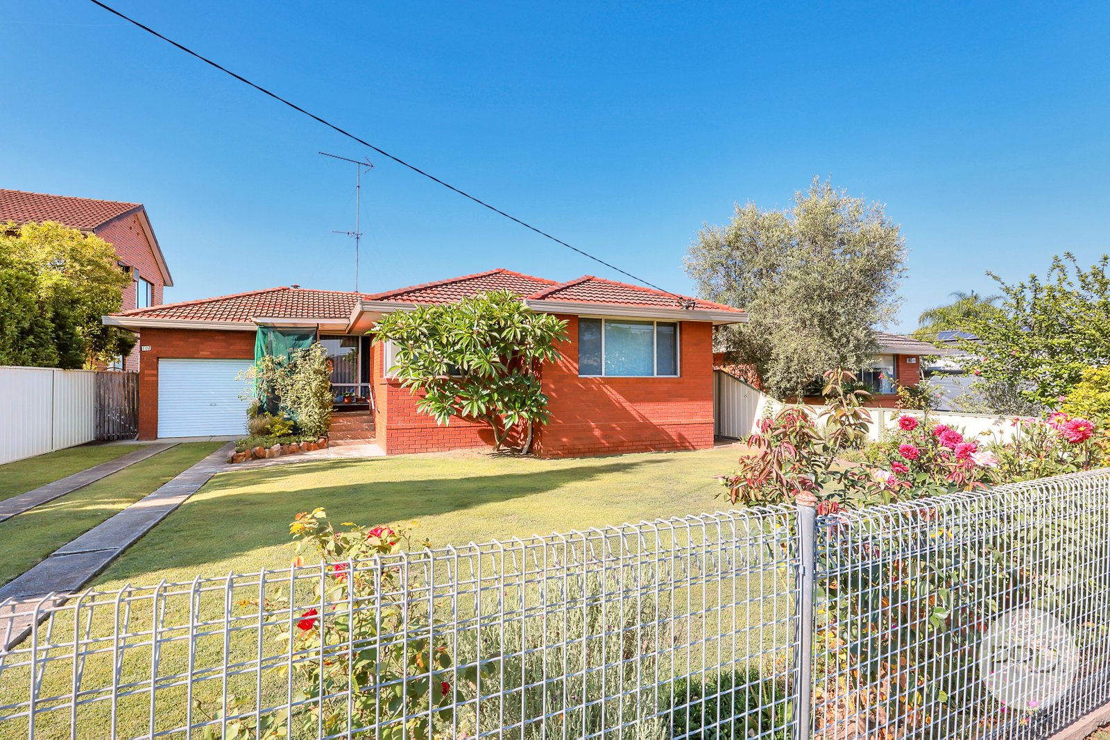 102 Canberra Street OXLEY PARK 9
