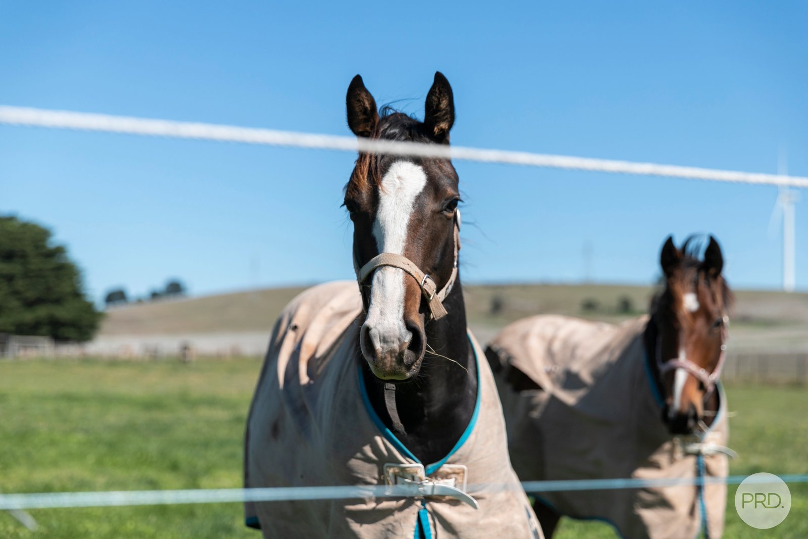 102 Edmonston Road ADDINGTON 19