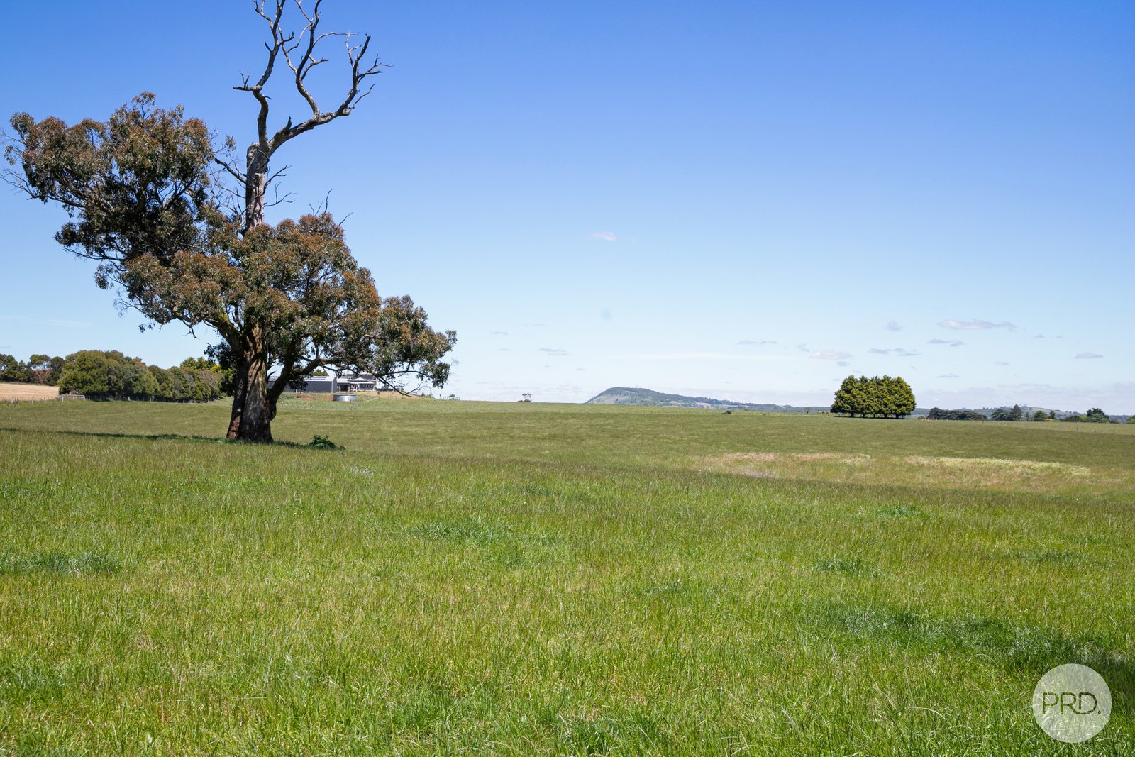 102 Mahars Road WARRENHEIP 18