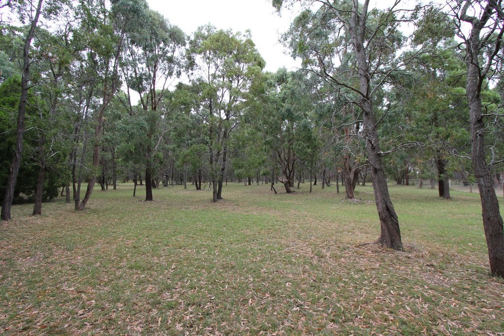 102 Melaleuca Road ENFIELD 12