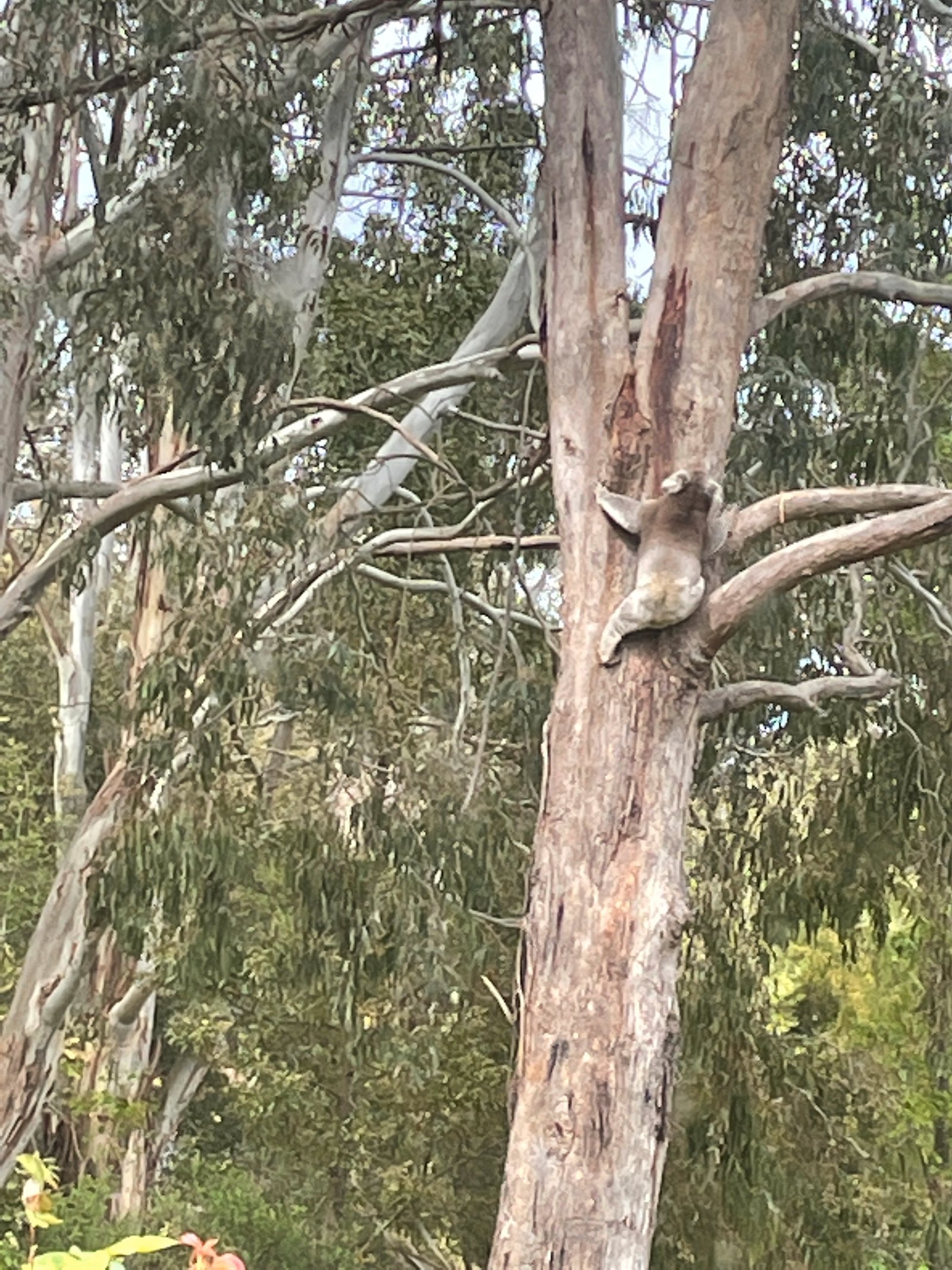 Real Estate and Property in 102 Slatey Creek Road, Woodend, VIC