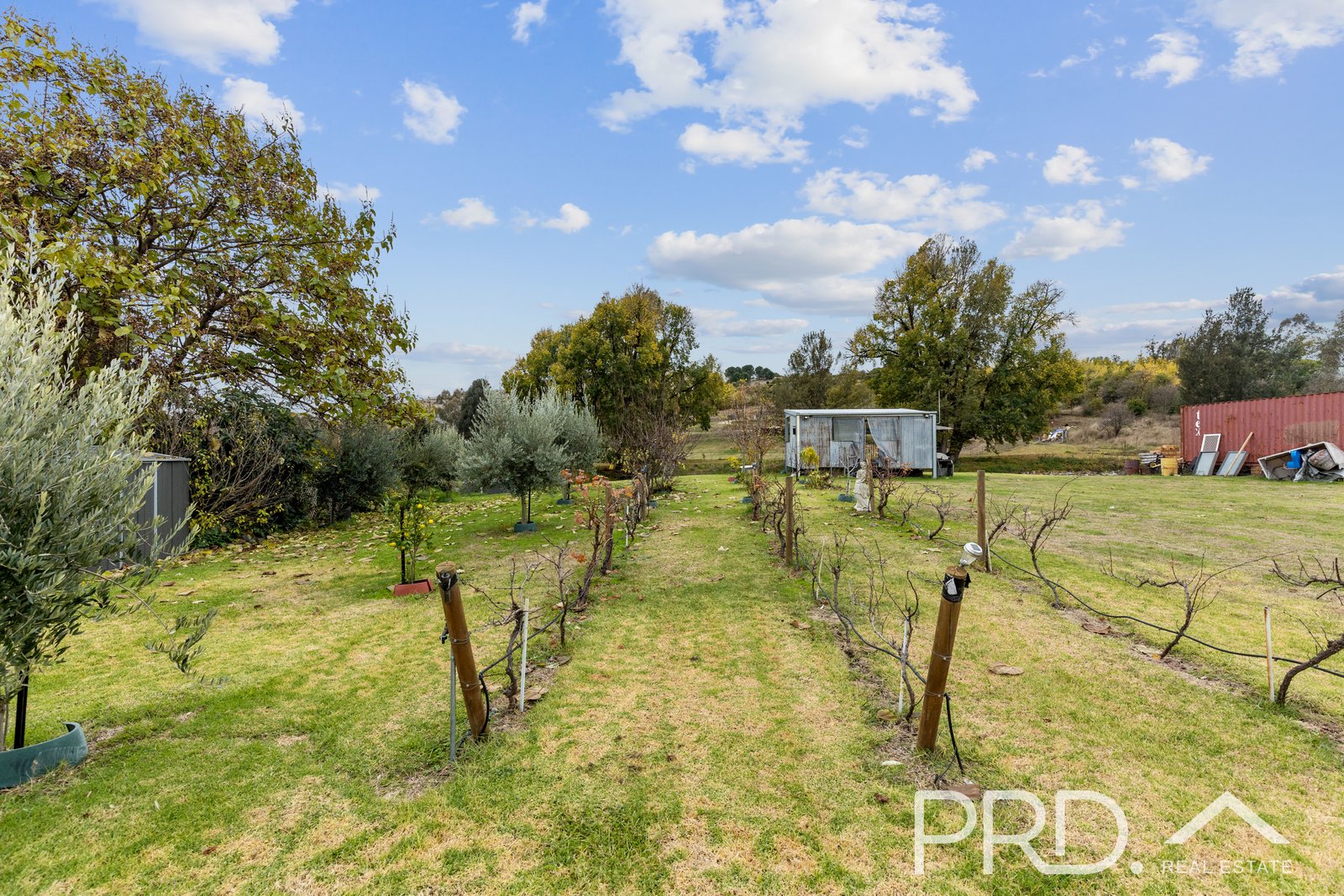 102 Tumut Street ADELONG 17