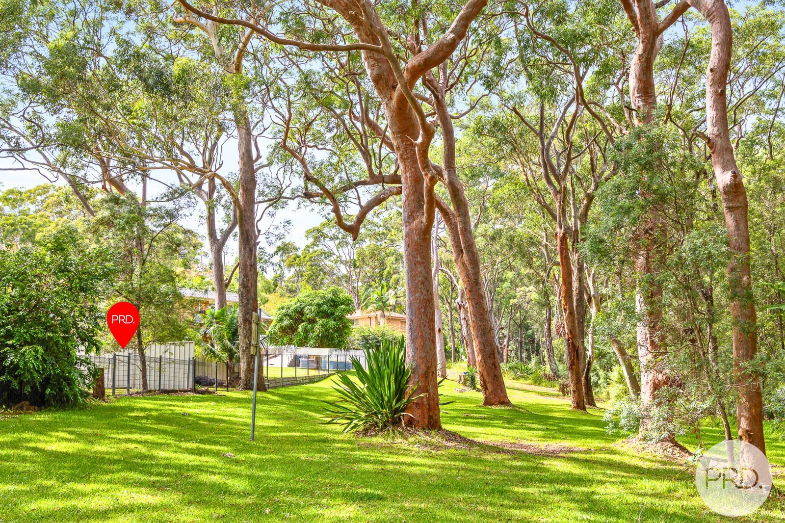 102 Wallawa Road NELSON BAY 5