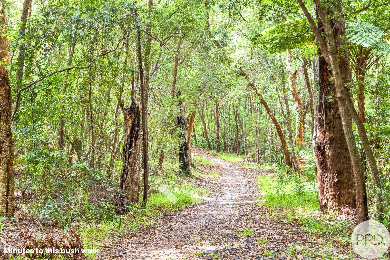 102 Wallawa Road NELSON BAY 28