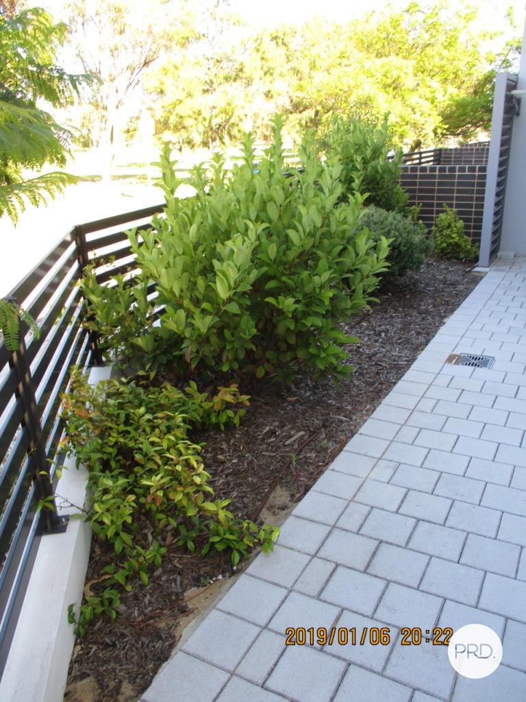 10/28 Ivankovich Avenue BEELIAR 15