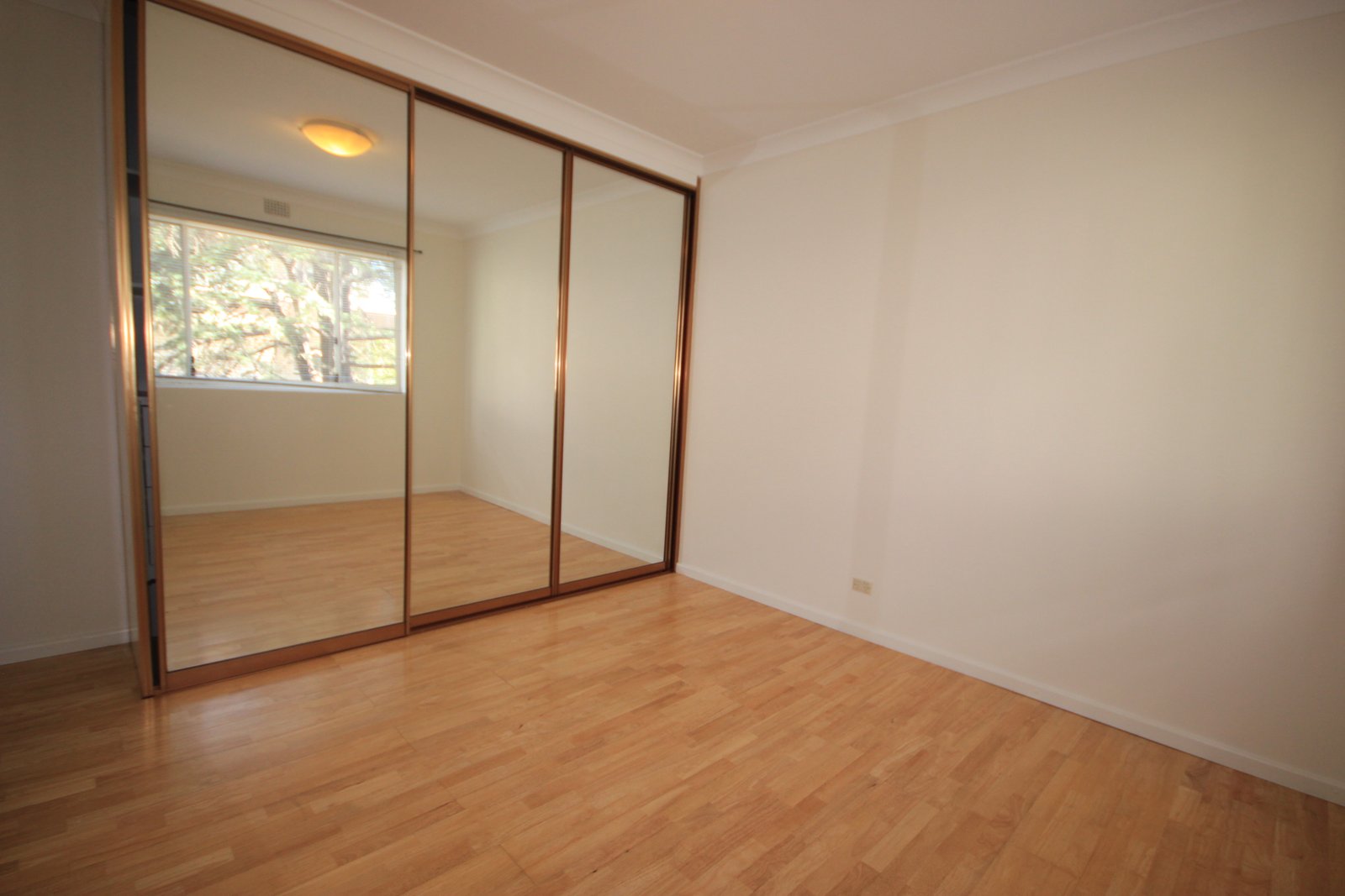 103 Alfred Street SANS SOUCI 10