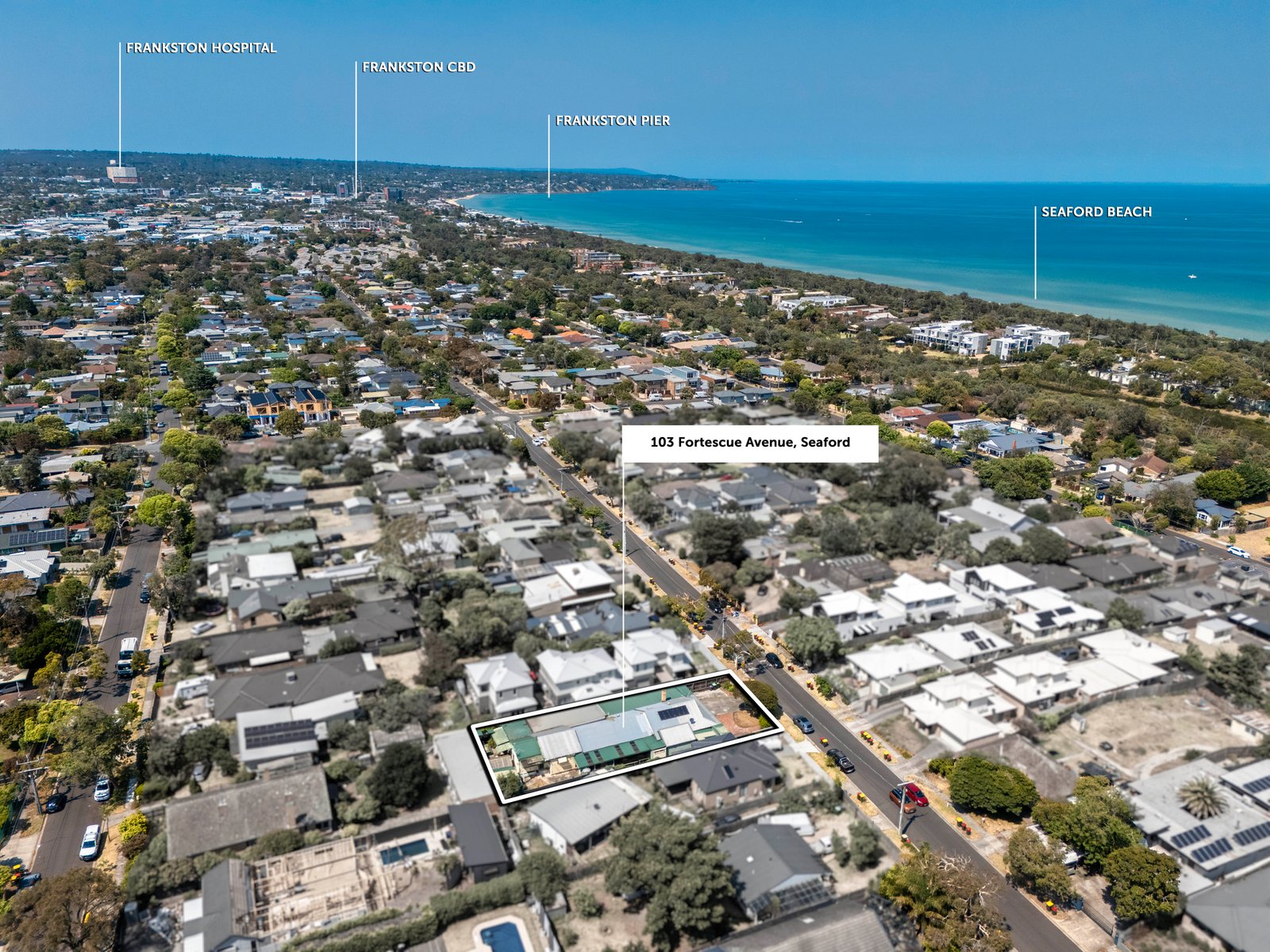 Gallery: 103 Fortescue Avenue