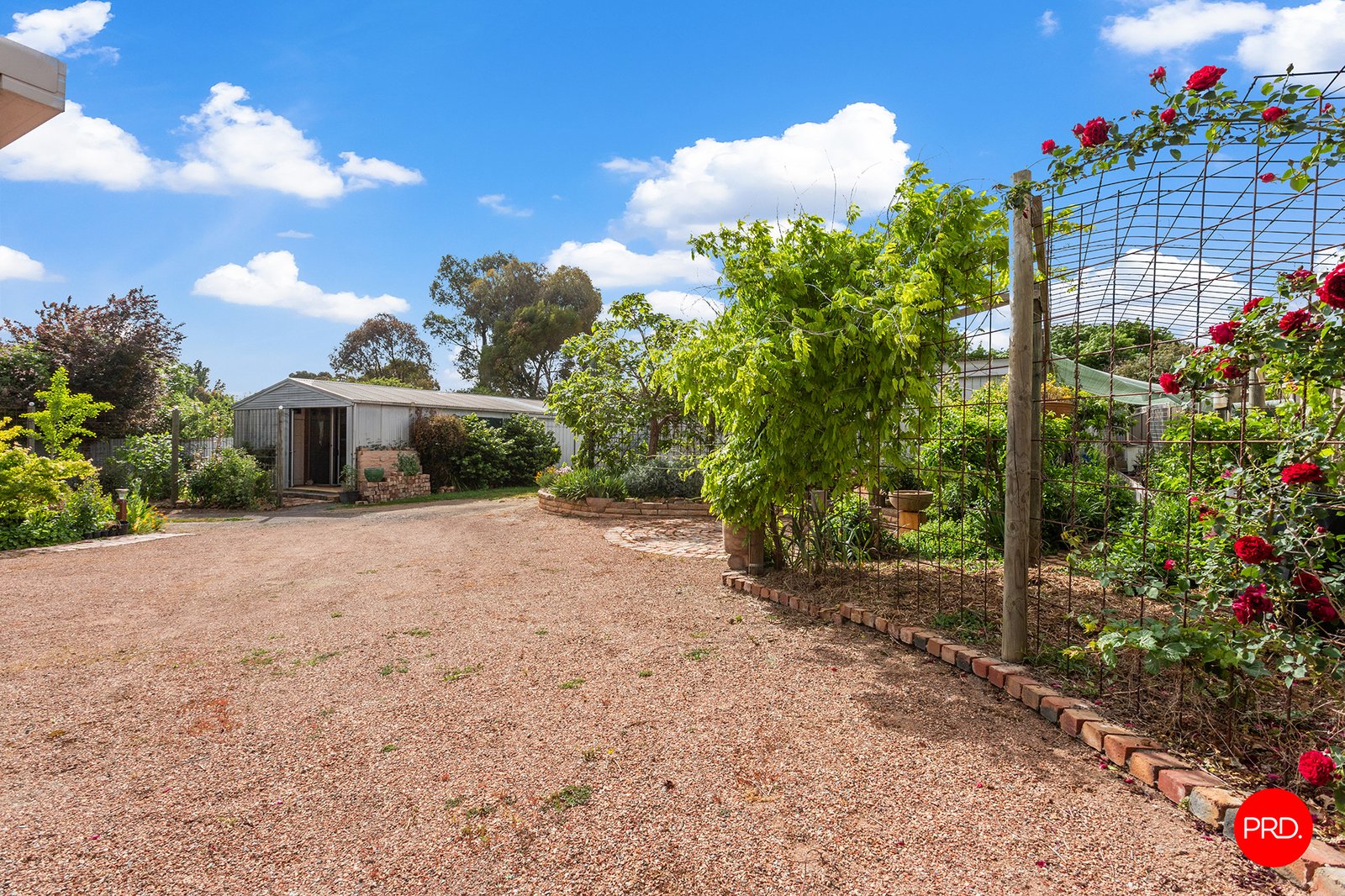 103 Johnstone Street CASTLEMAINE 20