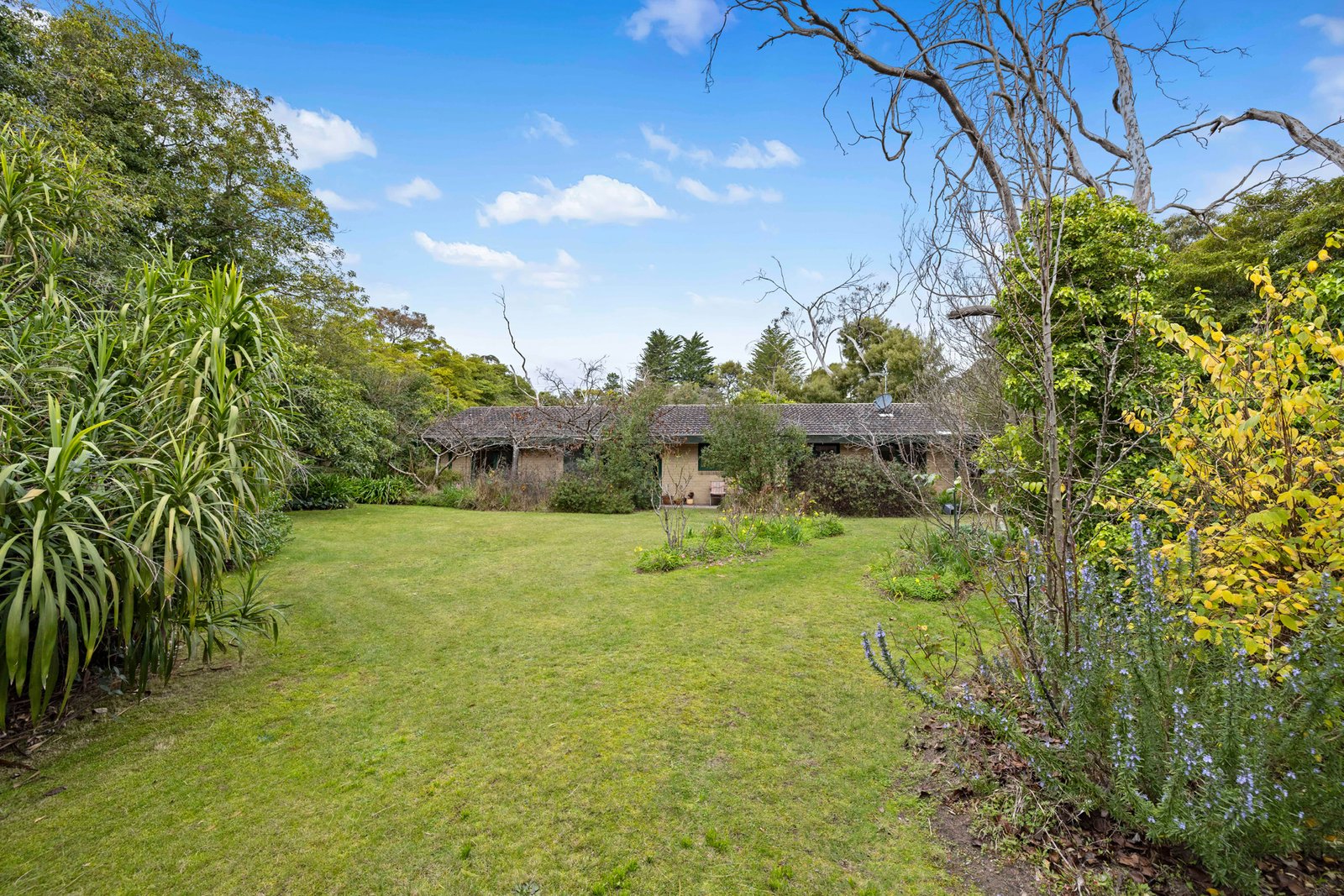 103 Mather Road, Mount Eliza, 3930