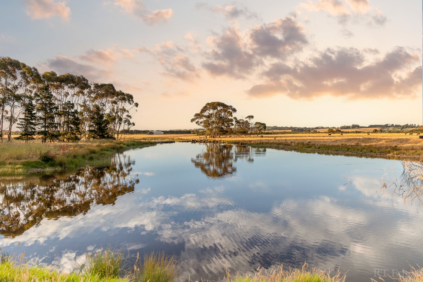 Real Estate and Property in 1030 Surf Coast Highway, Mount Duneed, VIC