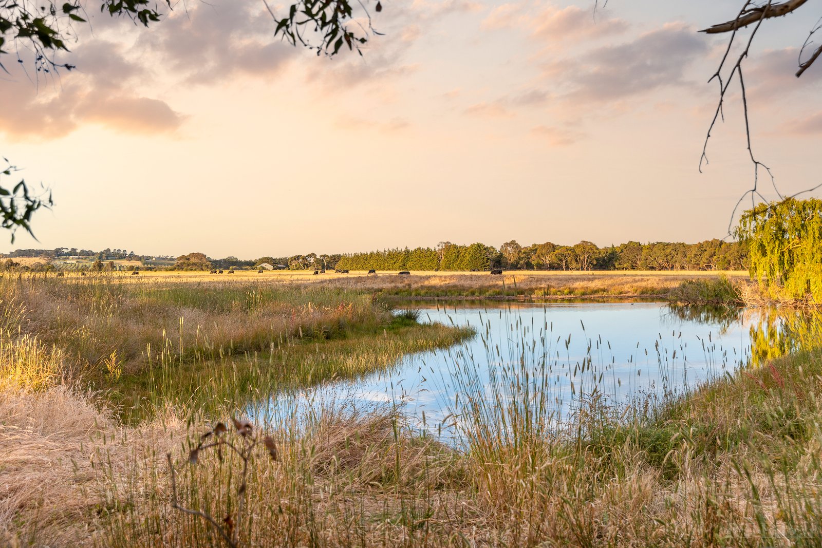 Real Estate and Property in 1030 Surf Coast Highway, Mount Duneed, VIC