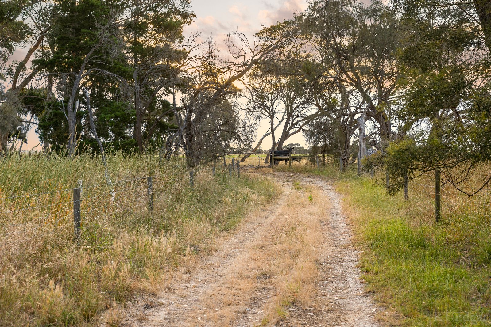 Real Estate and Property in 1030 Surf Coast Highway, Mount Duneed, VIC