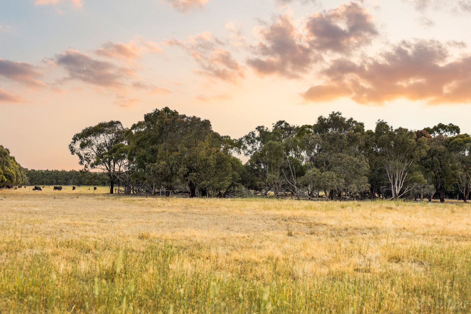 Real Estate and Property in 1030 Surf Coast Highway, Mount Duneed, VIC