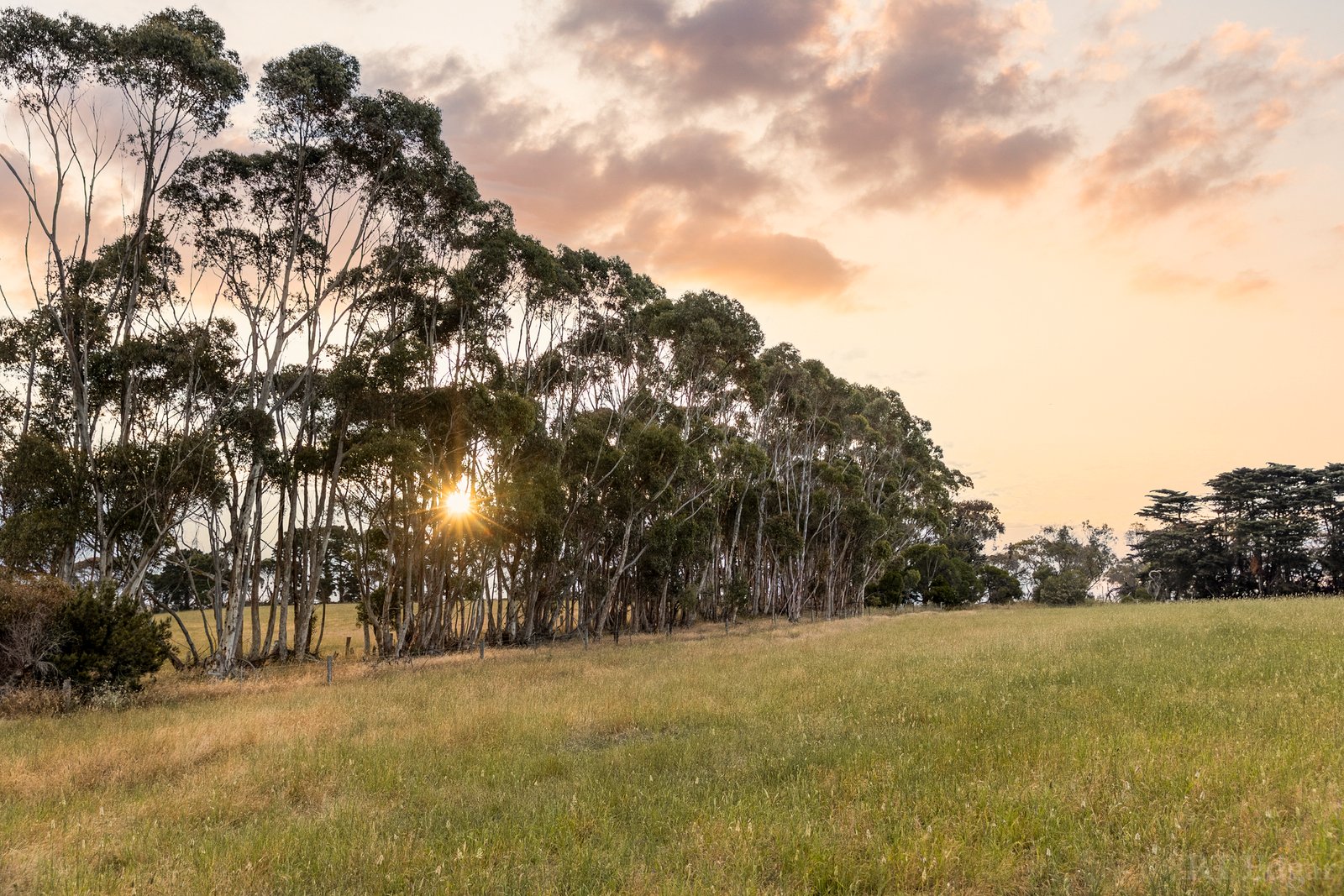 Real Estate and Property in 1030 Surf Coast Highway, Mount Duneed, VIC