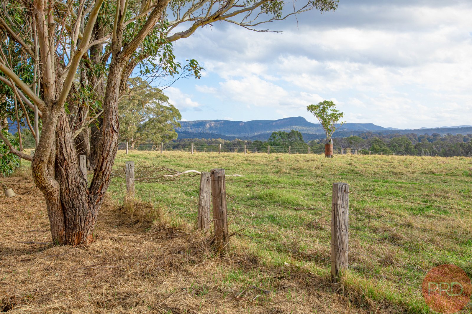 1032 Leggetts Drive MOUNT VINCENT 7