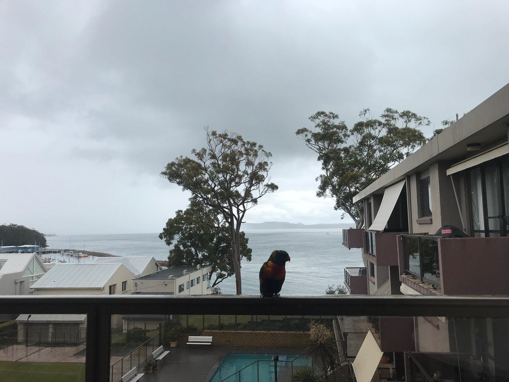 10/34-36 Magnus Street NELSON BAY 3