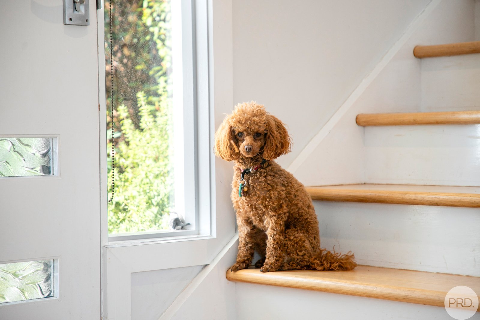 10/34 Smith Street DAYLESFORD 7