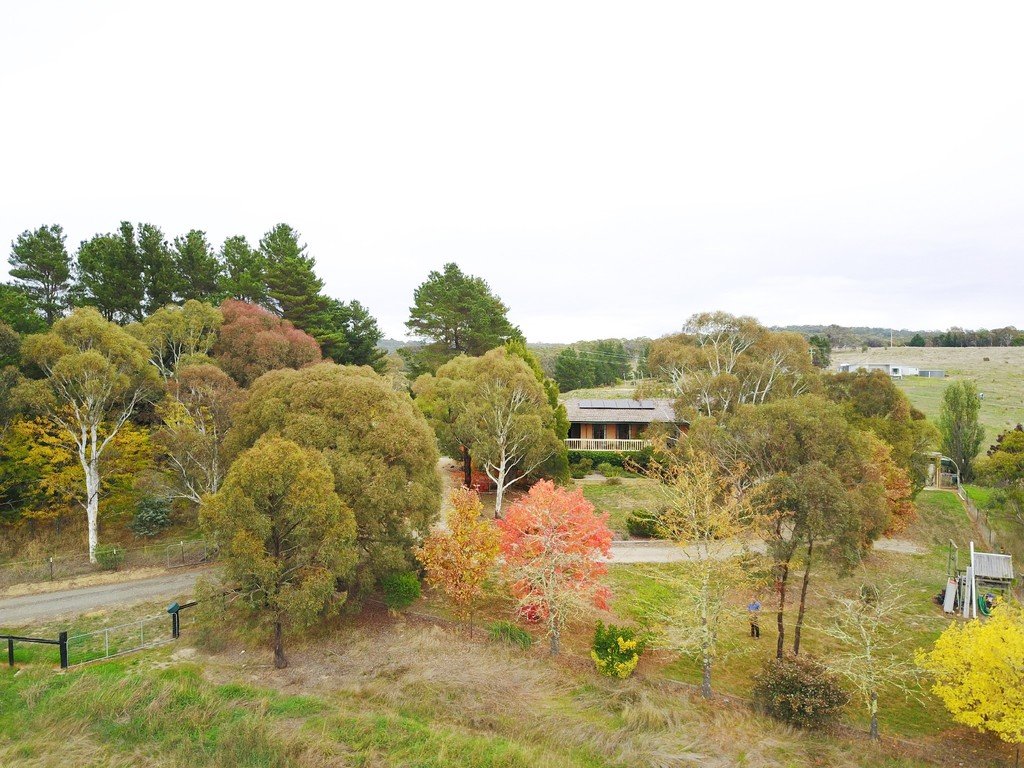 1035 Bungendore Road BYWONG 14