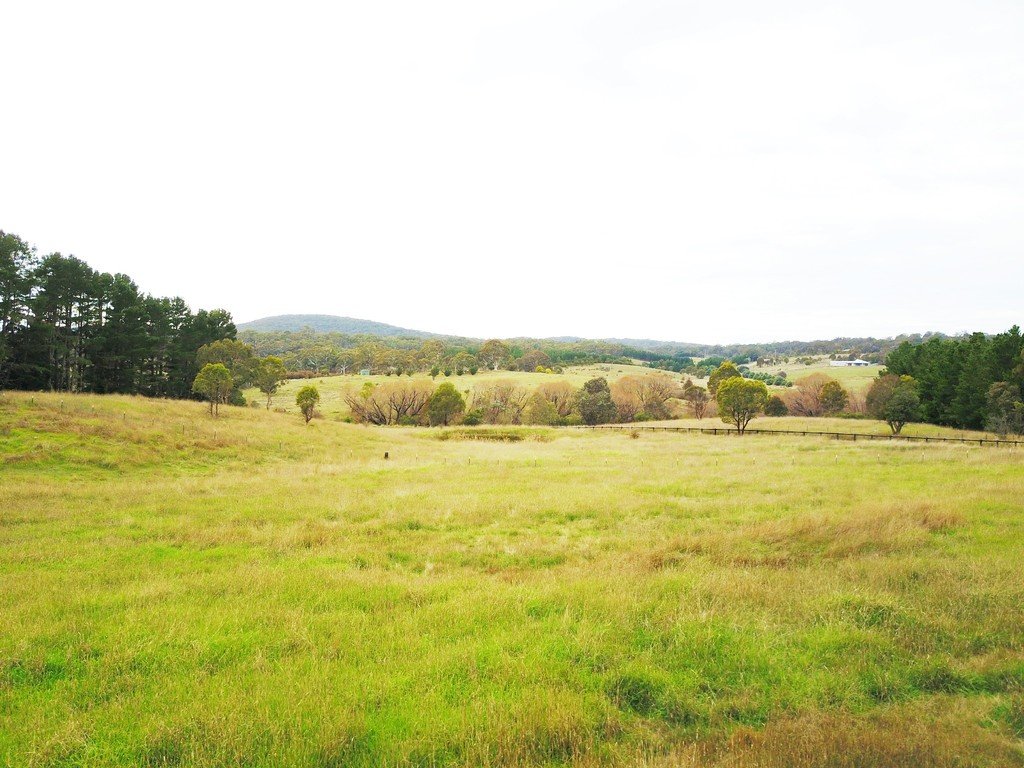 1035 Bungendore Road BYWONG 16