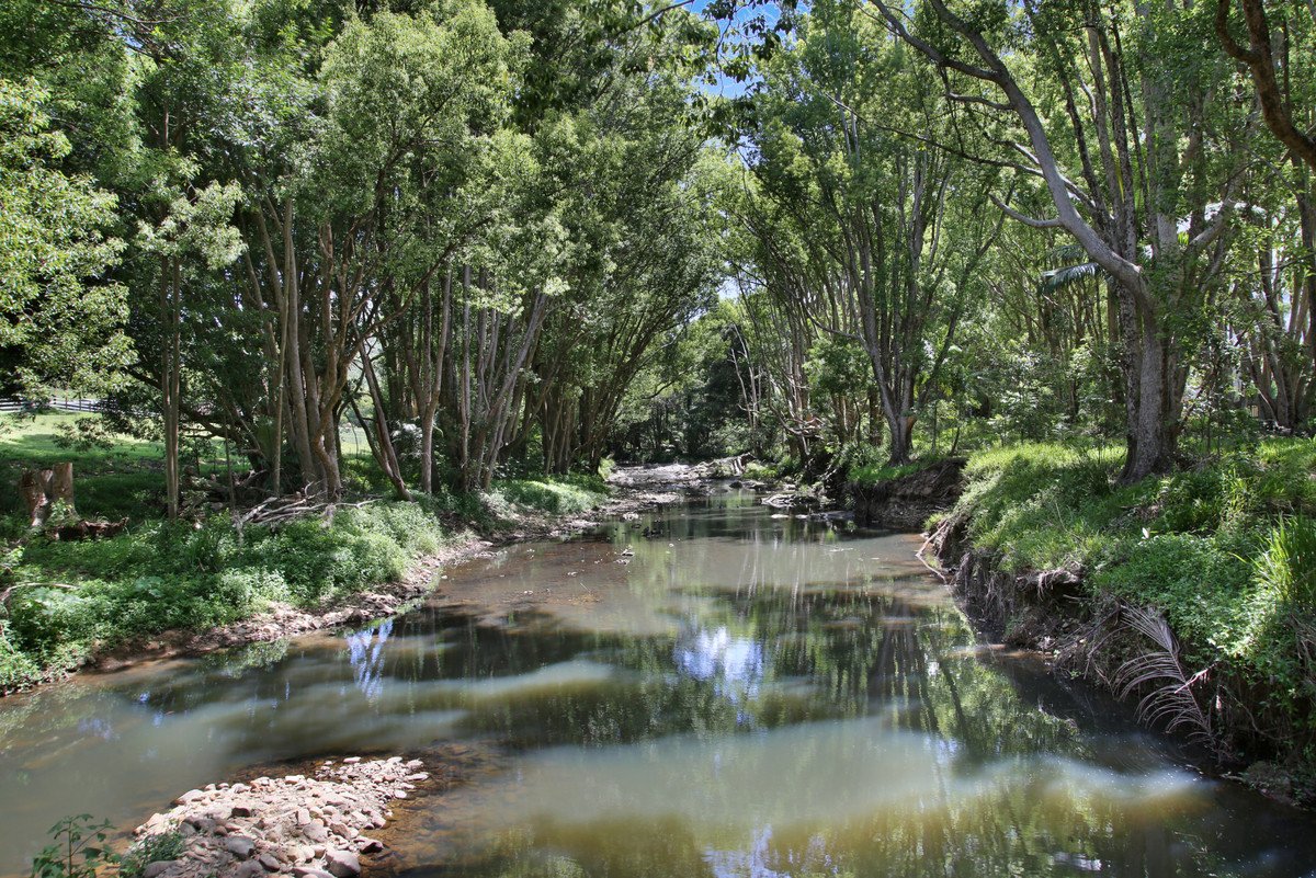 1039 Currumbin Creek Road Currumbin Valley 4