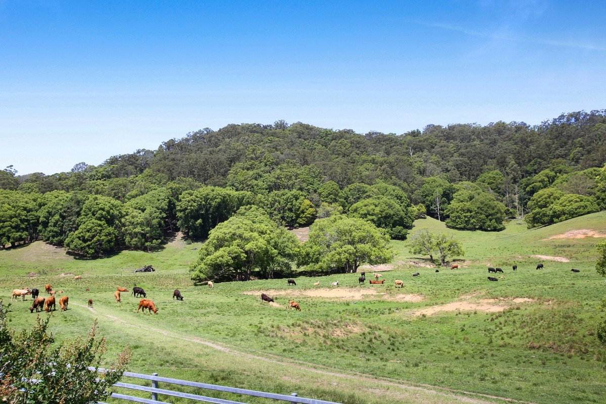 1039 Currumbin Creek Road Currumbin Valley 11