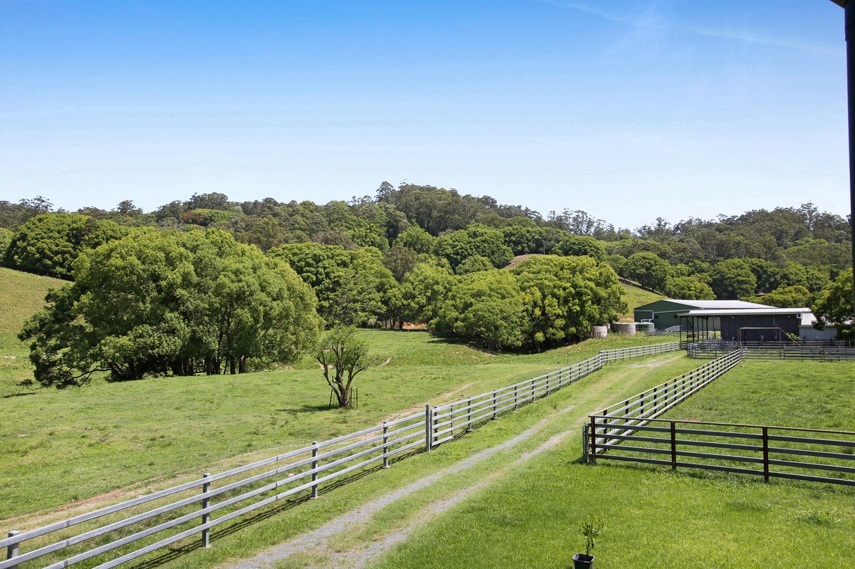 1039 Currumbin Creek Road Currumbin Valley 13