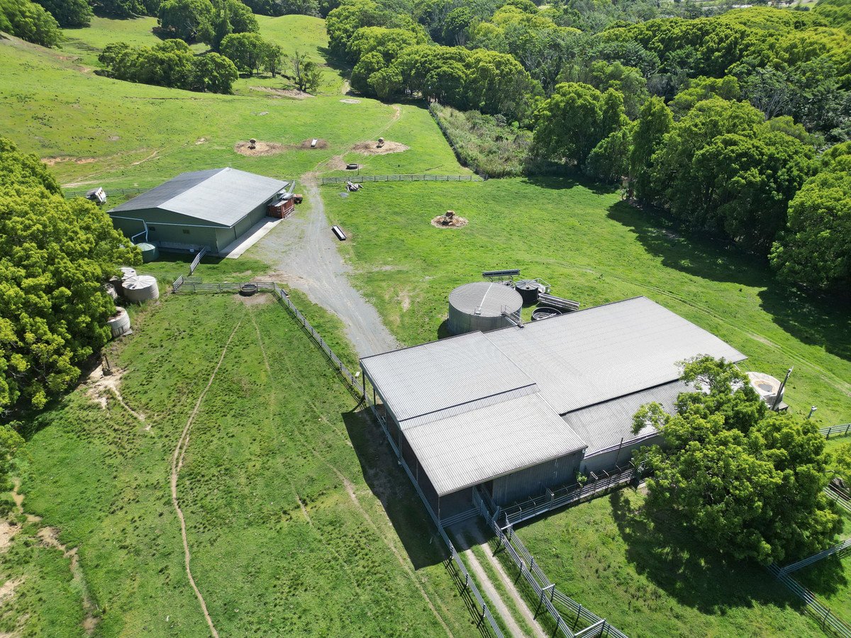 1039 Currumbin Creek Road Currumbin Valley 14