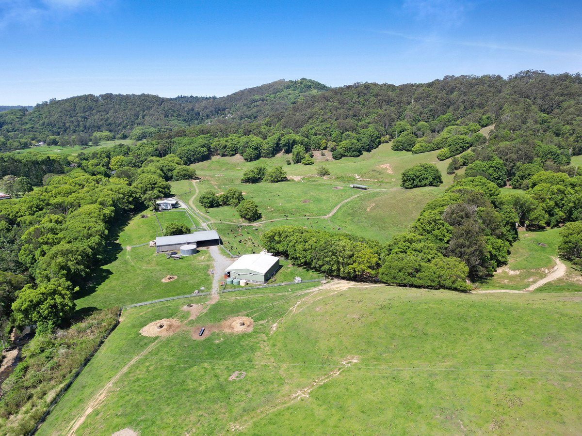 1039 Currumbin Creek Road Currumbin Valley 18
