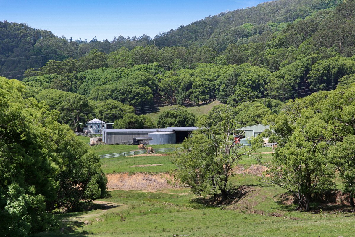 1039 Currumbin Creek Road Currumbin Valley 20