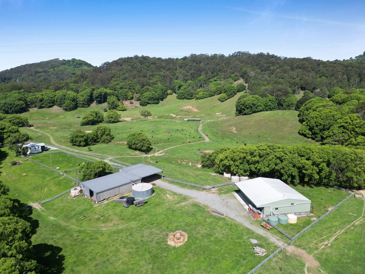 1039 Currumbin Creek Road Currumbin Valley 21
