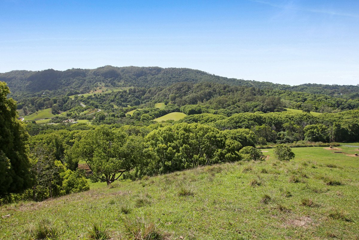 1039 Currumbin Creek Road Currumbin Valley 22