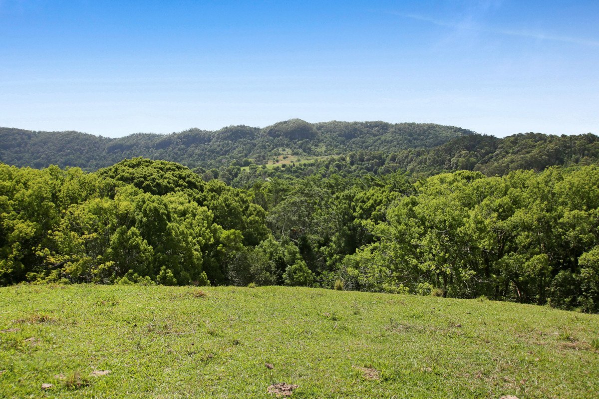 1039 Currumbin Creek Road Currumbin Valley 23